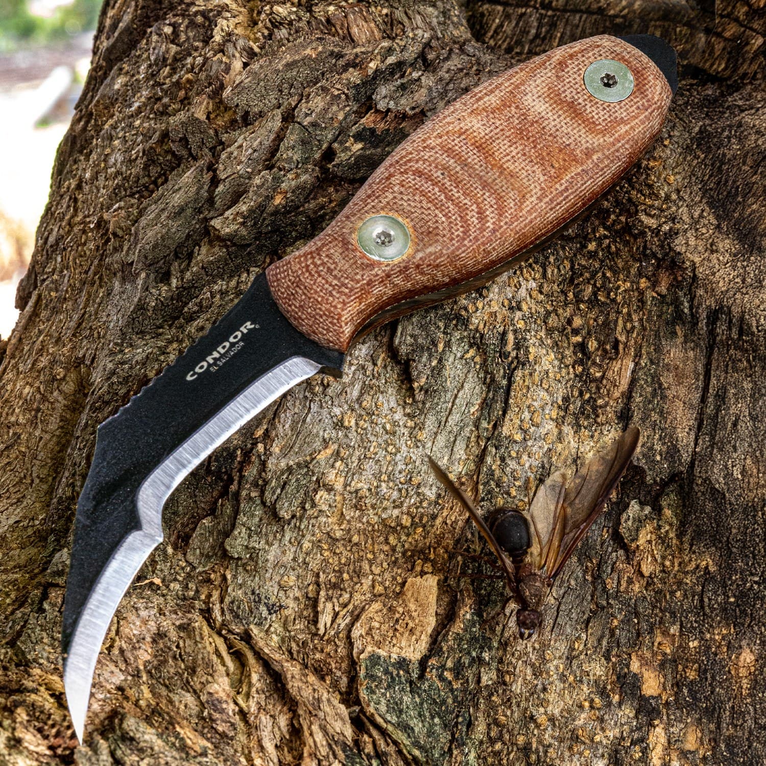 Zompopo Knife