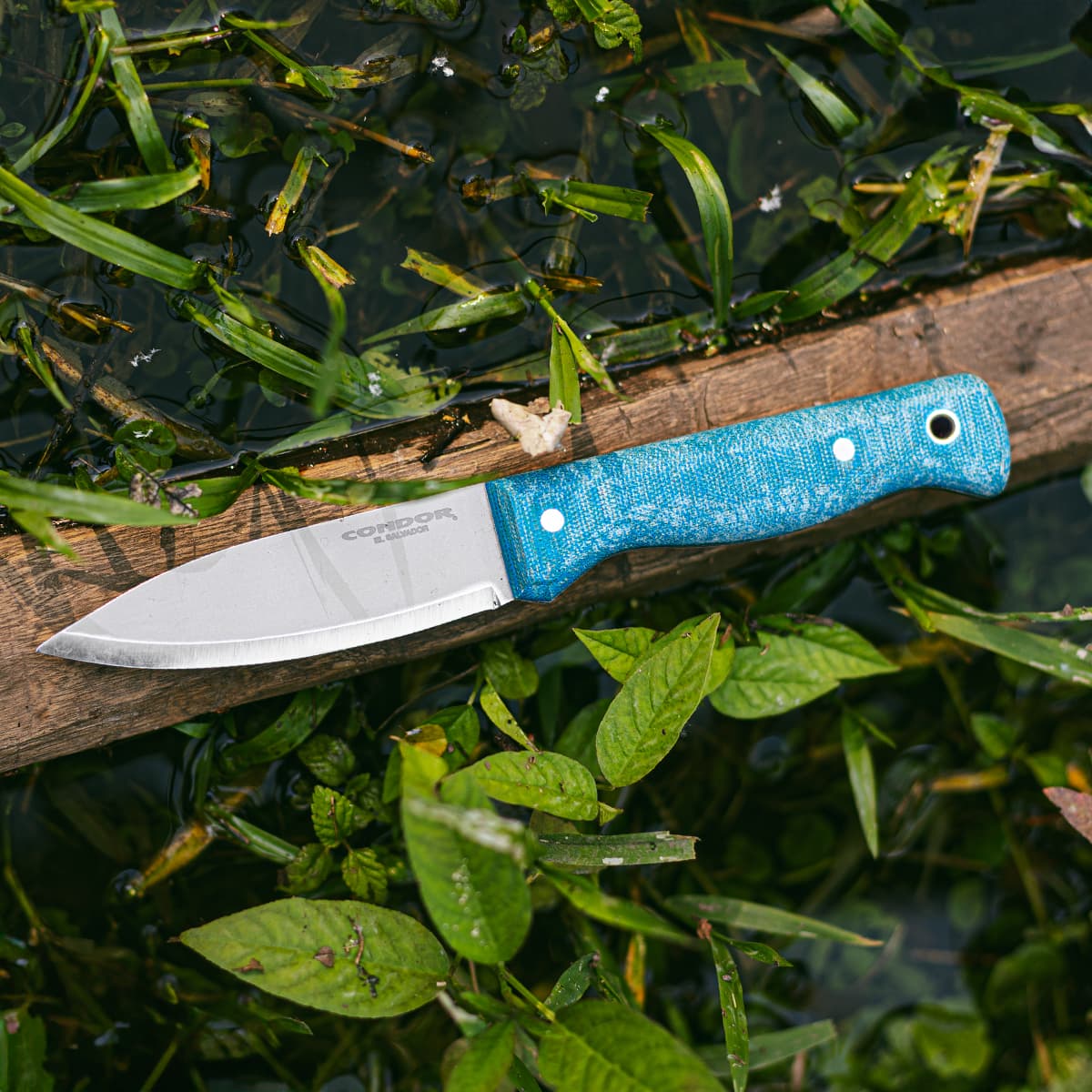 Aqualore Knife
