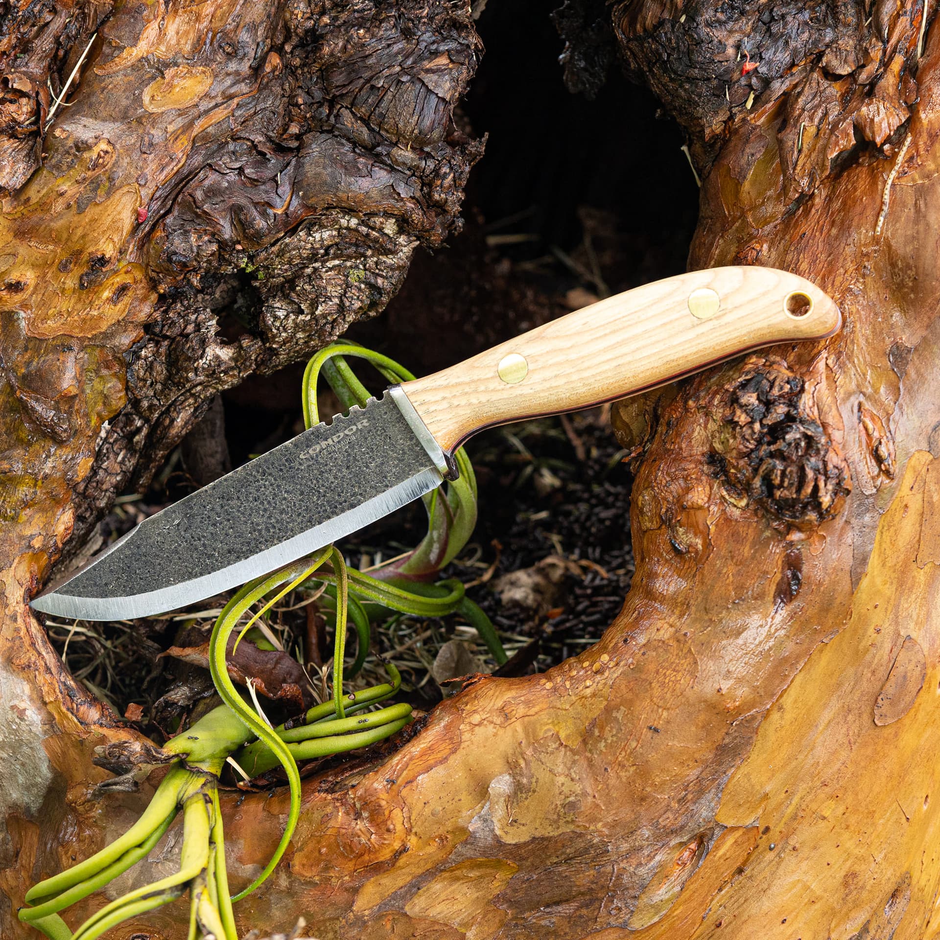 Austral Knife