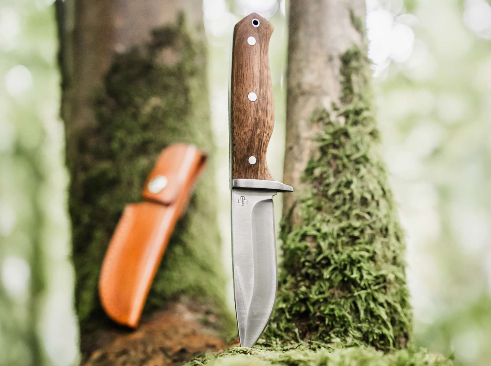 Walnut Drop