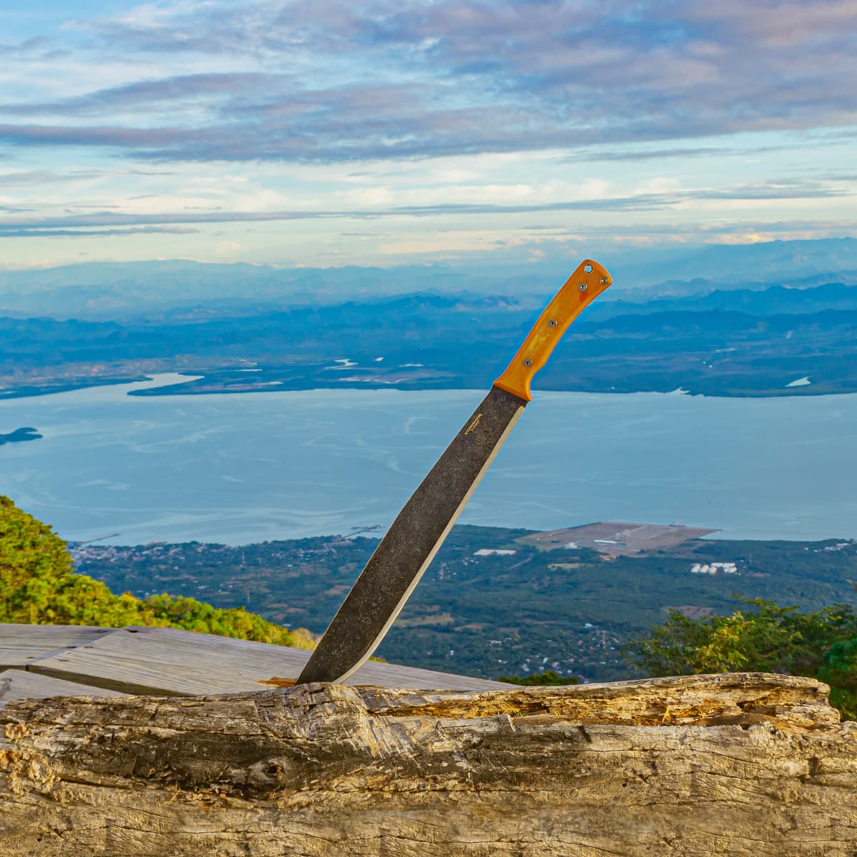 Mountain Pass Machete