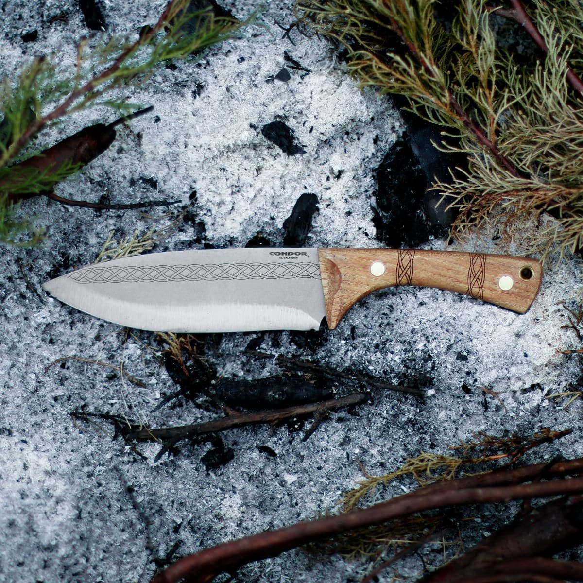 Pictus Messer