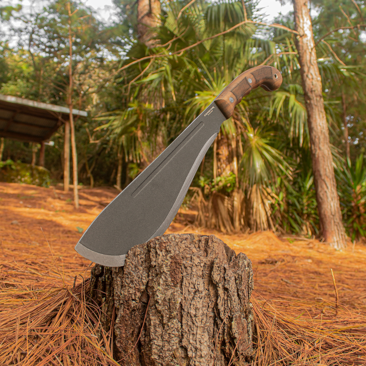 Departure Bolo Machete 