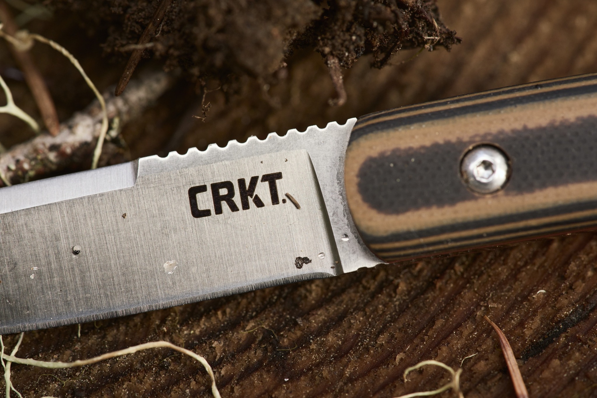 Biwa mit festgestellter Klinge 