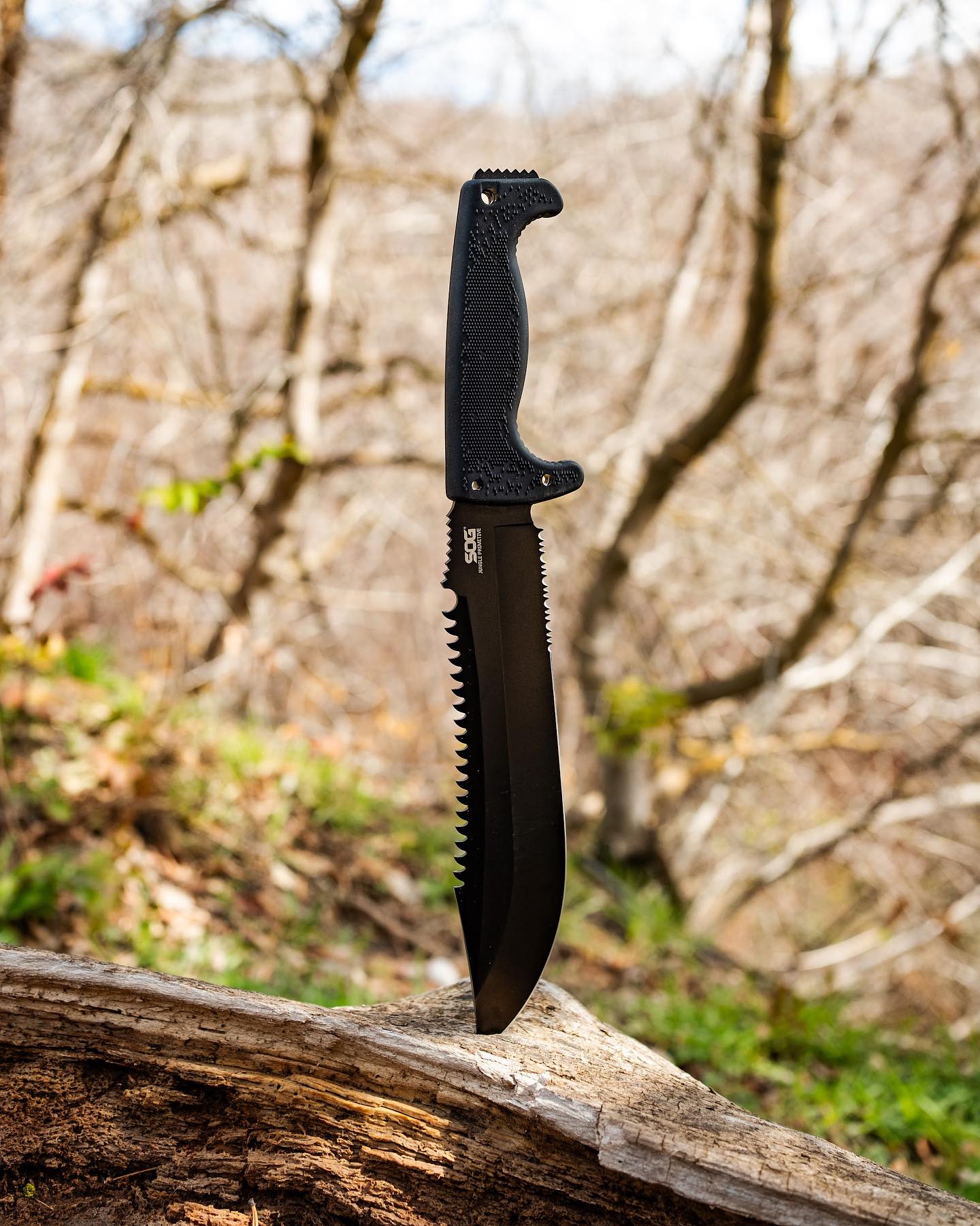 Jungle Primitive 