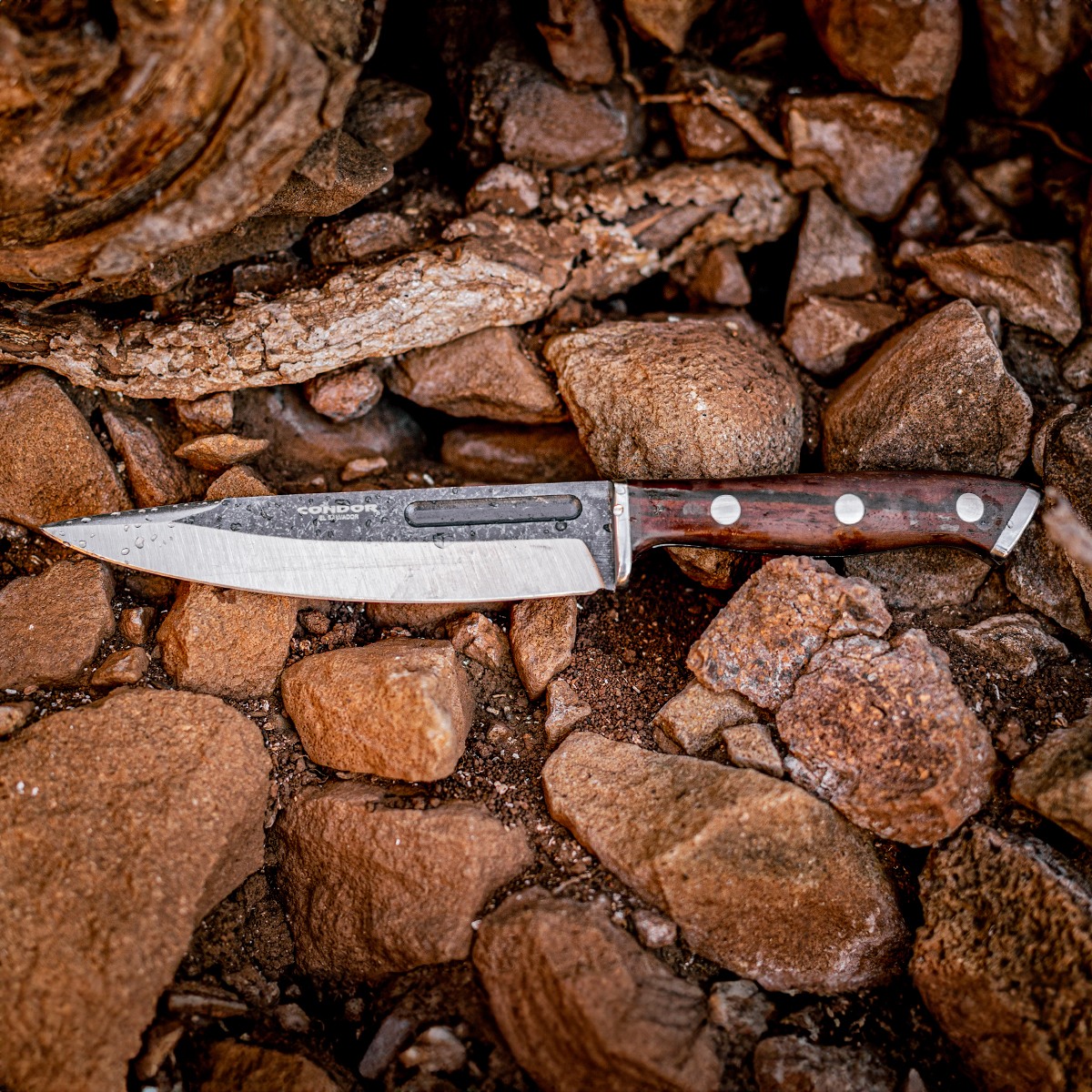 Patagon Messer