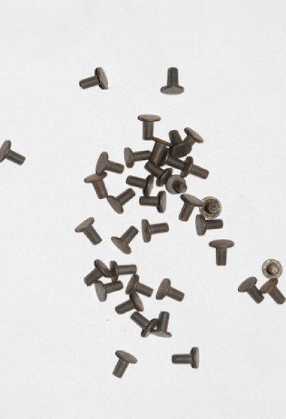 Flat Head Steel Rivets