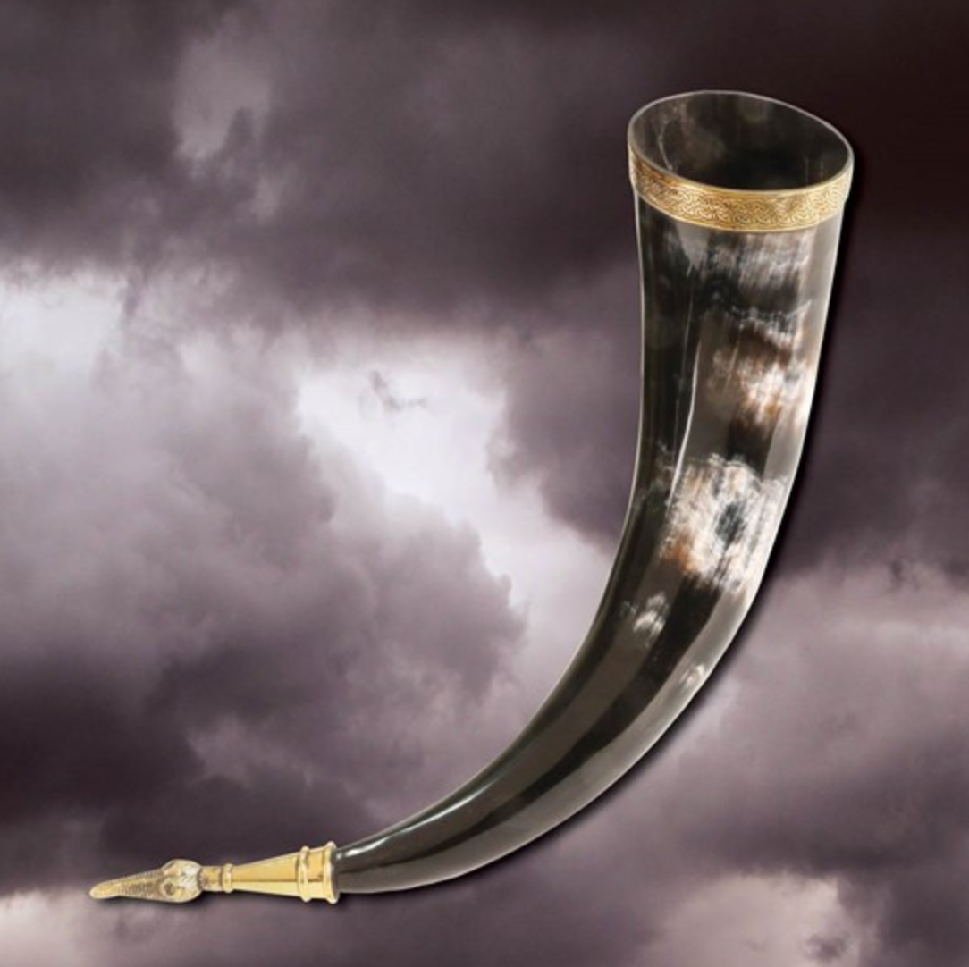 Drinking Horn of Jarl