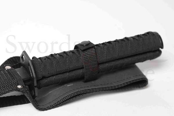 Doppel-Schwert mit Scheide