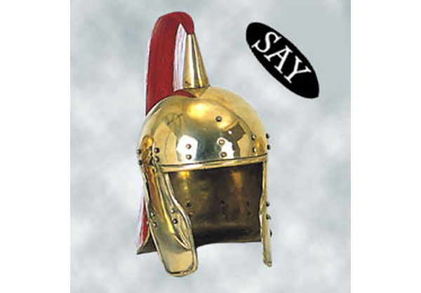 Wagenlenker Helm