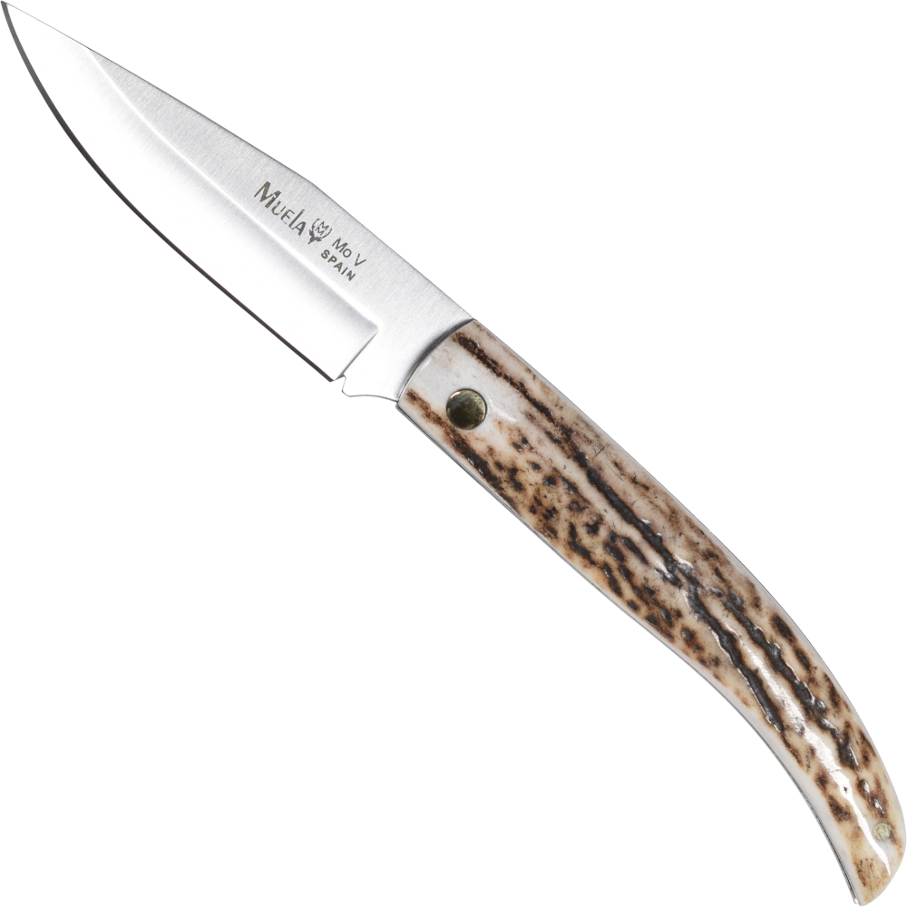 Taschenmesser Hirschhorn