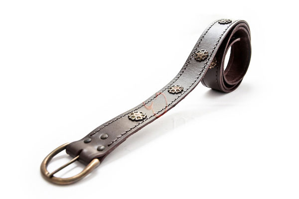 Knightly Belt, Brown