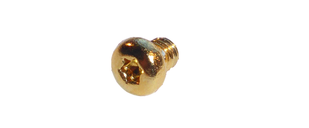 BAU - T5 Screw Gold for PC, GP, P3