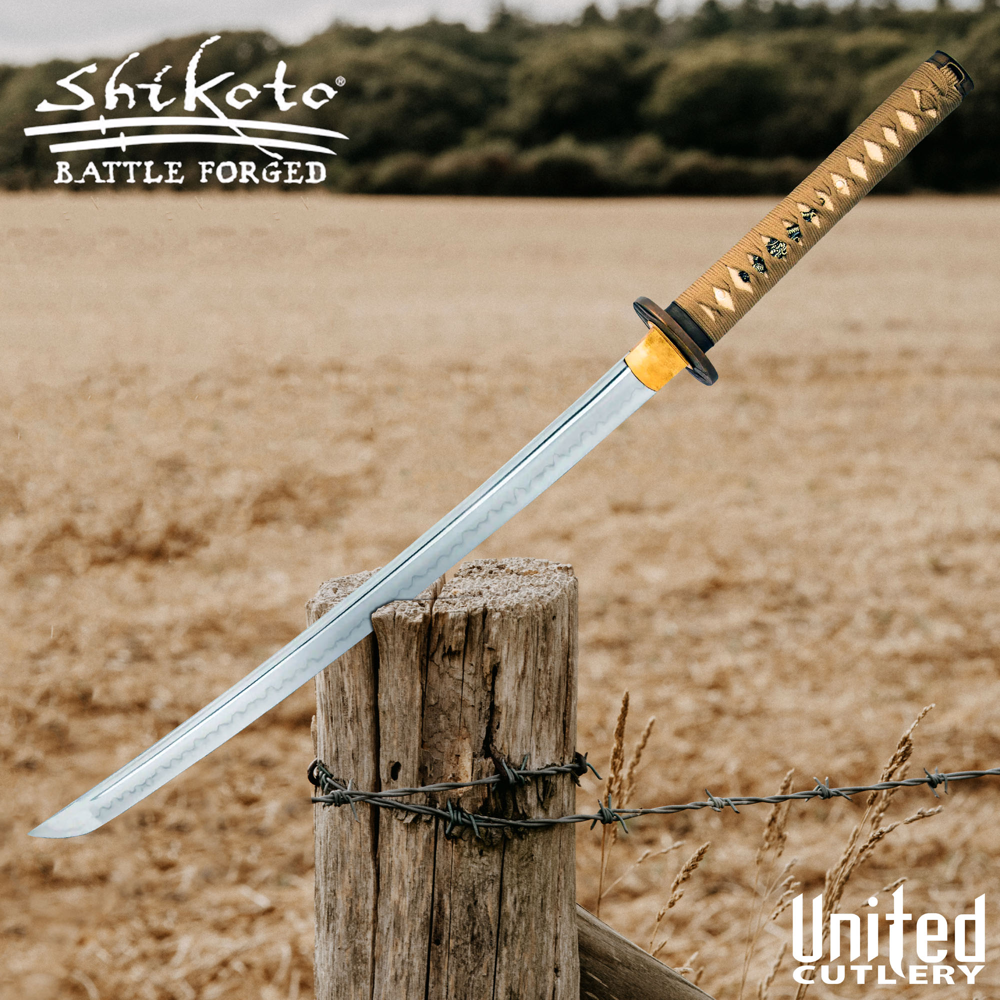 Shikoto Hidden Samurai Wakizashi mit Scheide