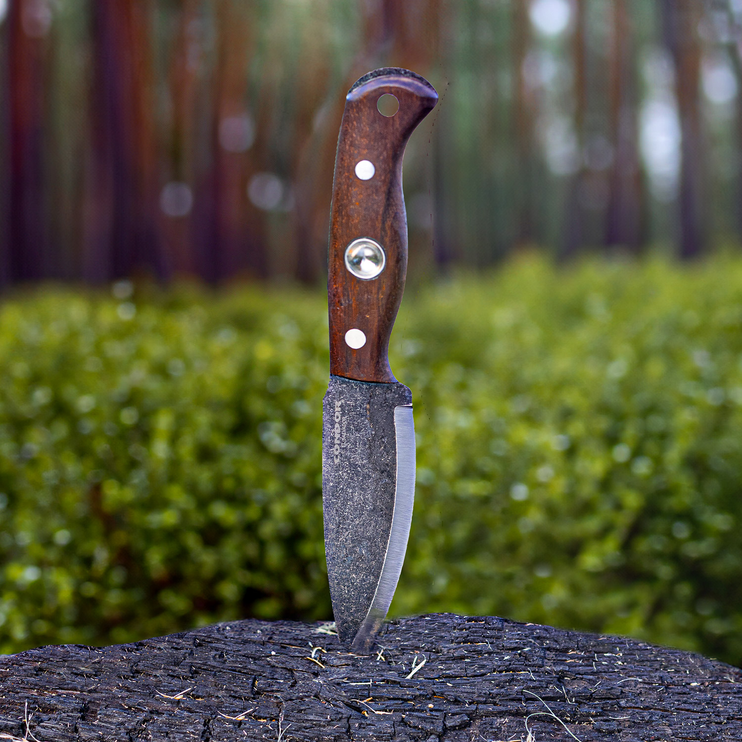 Wayfinder Knife