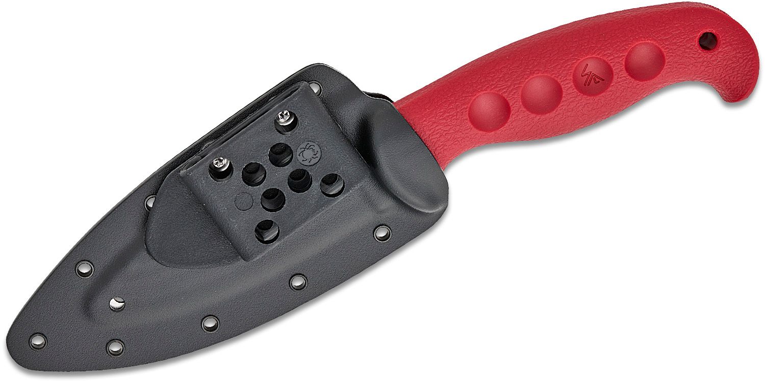 Temperance Lightweight Trainer, 420J2 Satin unsharpened blade, molded gray FRN handle