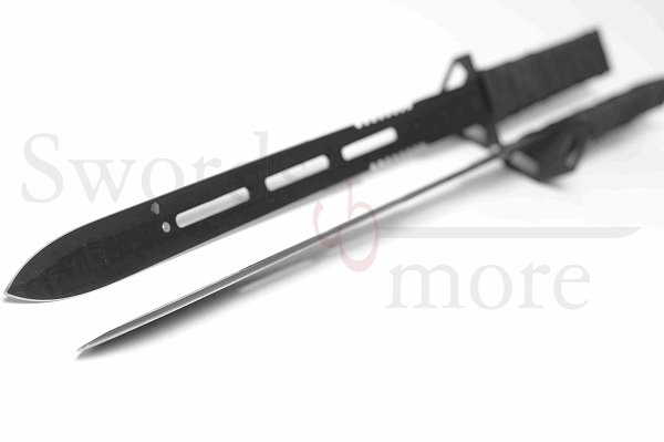 Doppel-Schwert mit Scheide