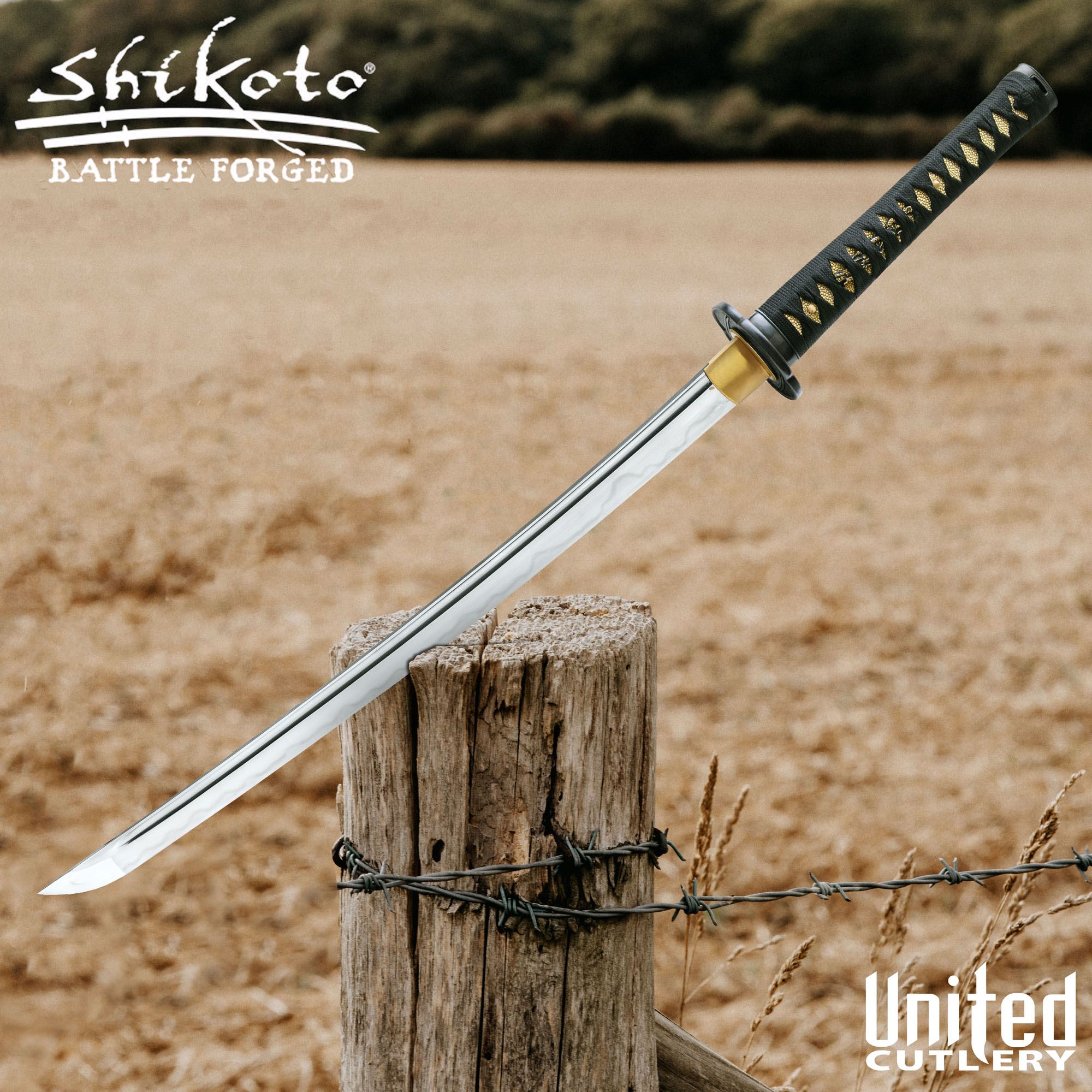 Shikoto Longquan Master Wakizashi