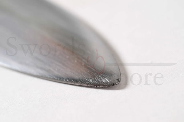 Wikingerschwert mit Scheide