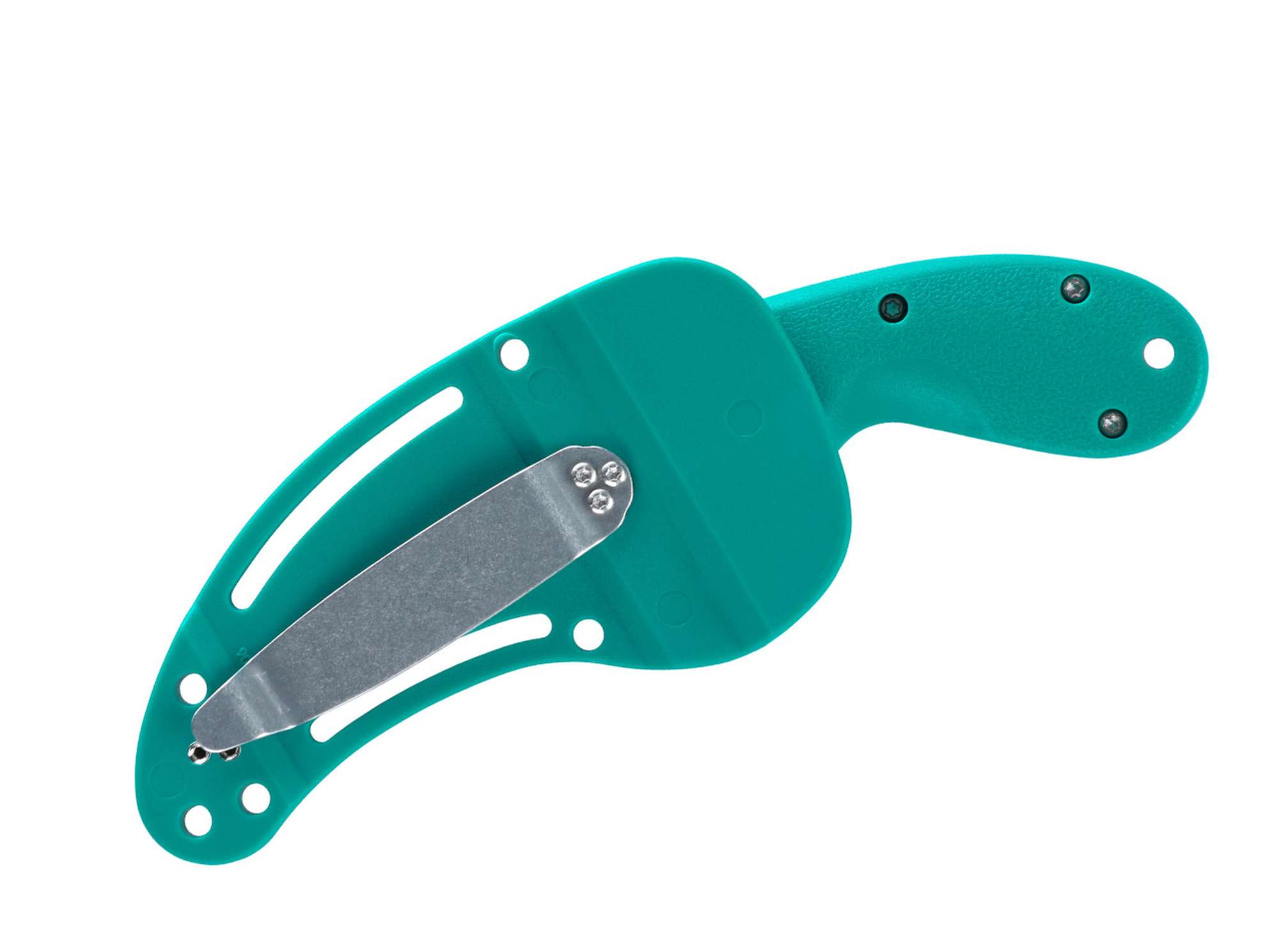 Bear Claw Tiffany Blue