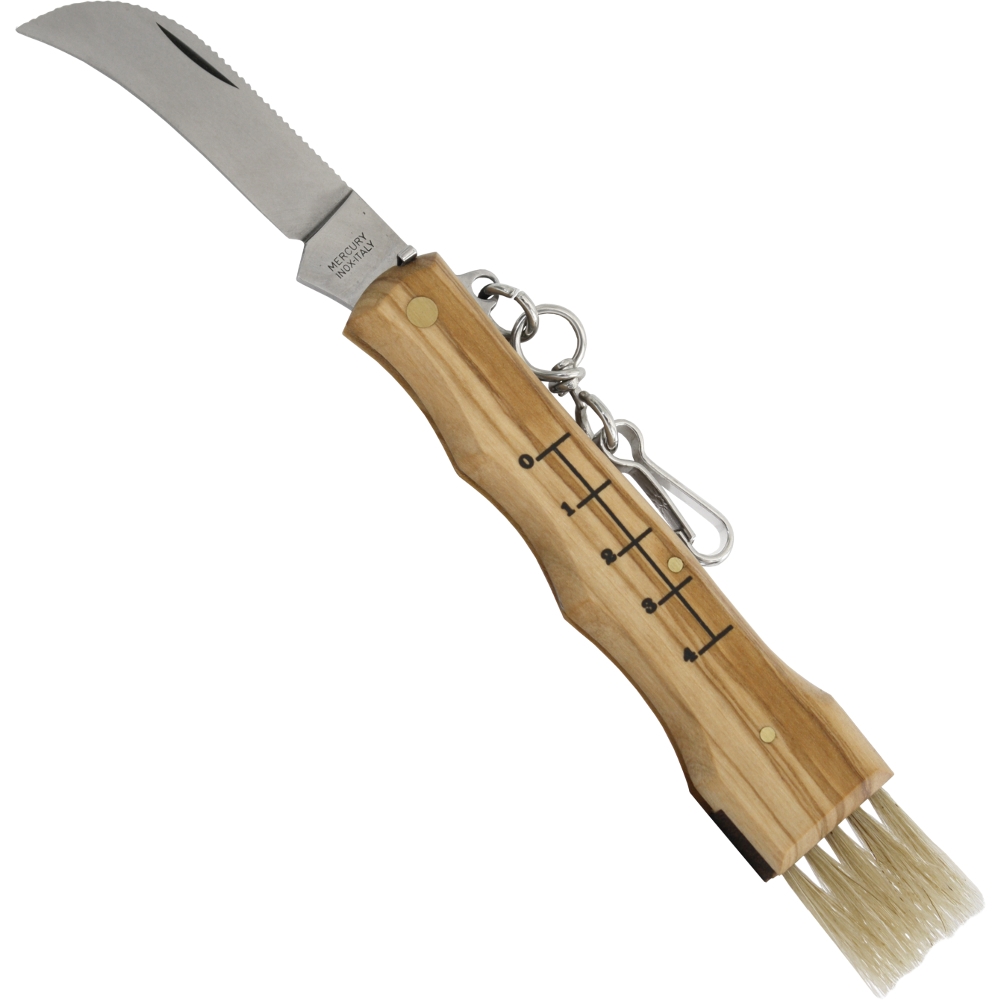 Mushroom knife with olive wood handle