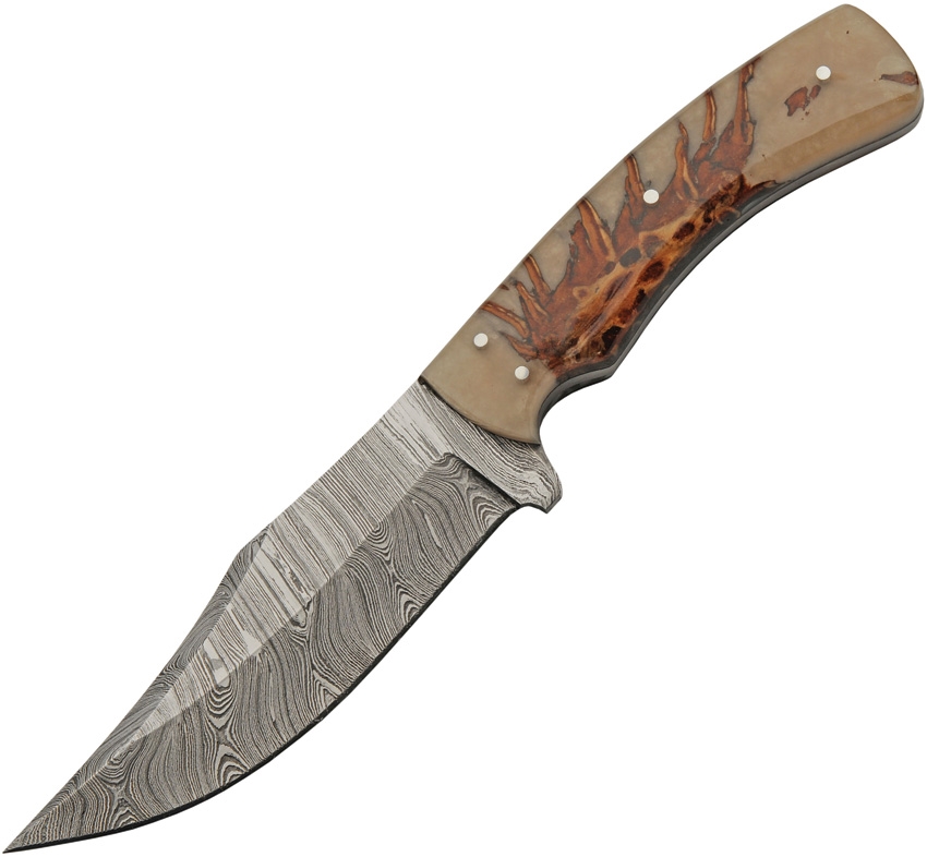 Damascus Pine Ranch Hunter