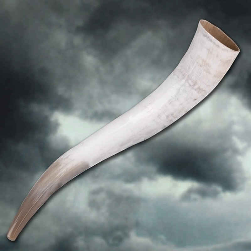 Loki´s Drinking Horn