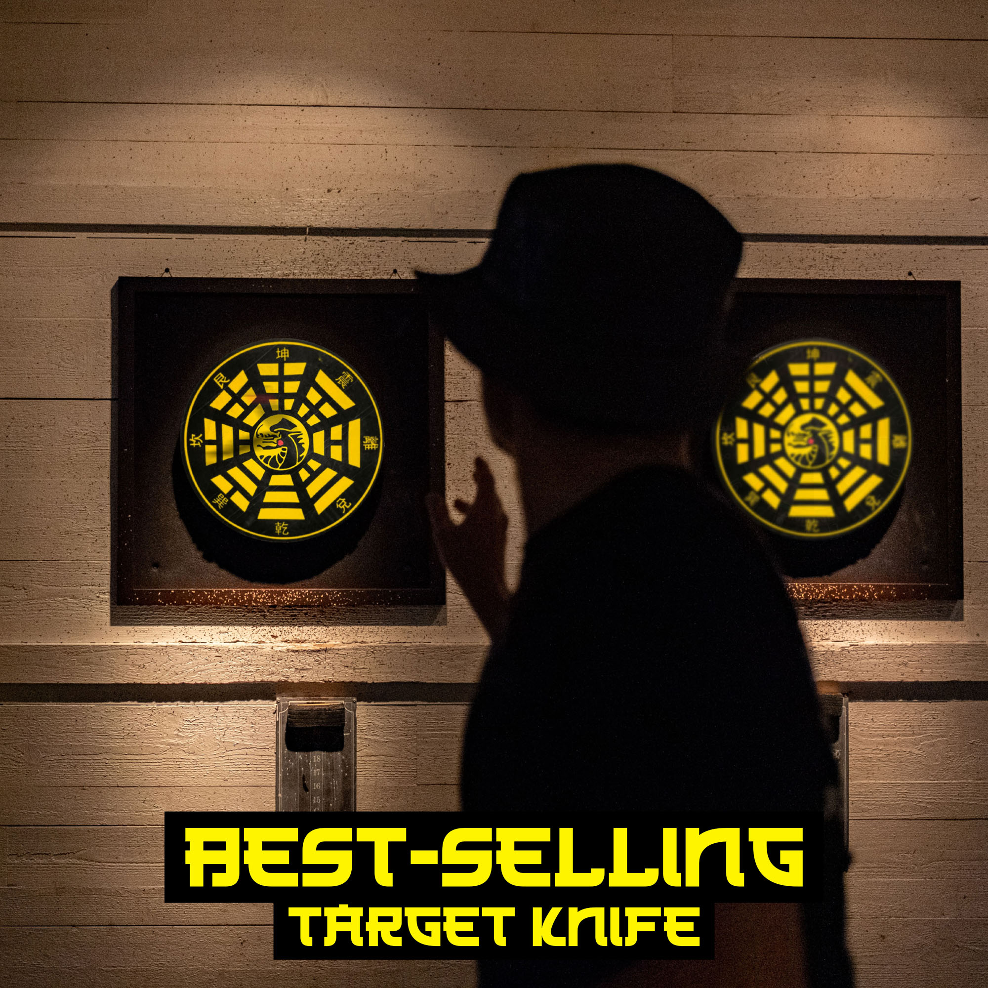 Throwing Knife Target
