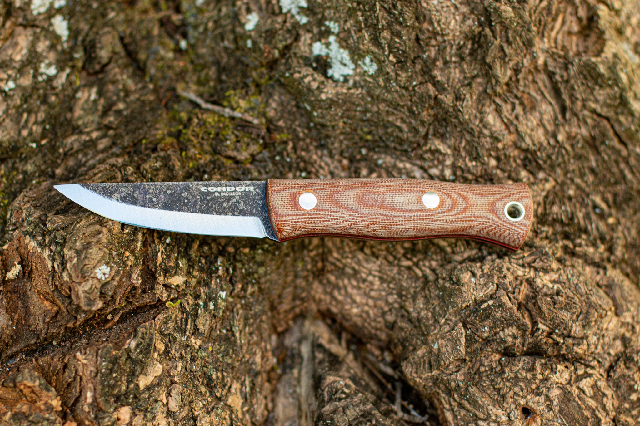 Trivittata Puukko Knife