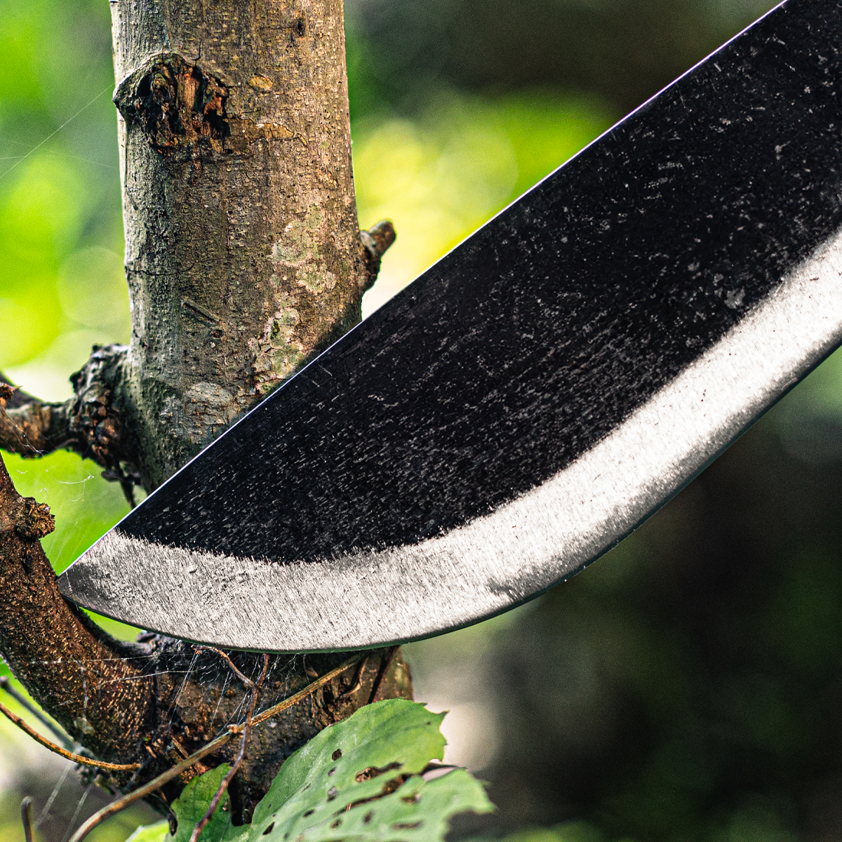 Jungolo Machete