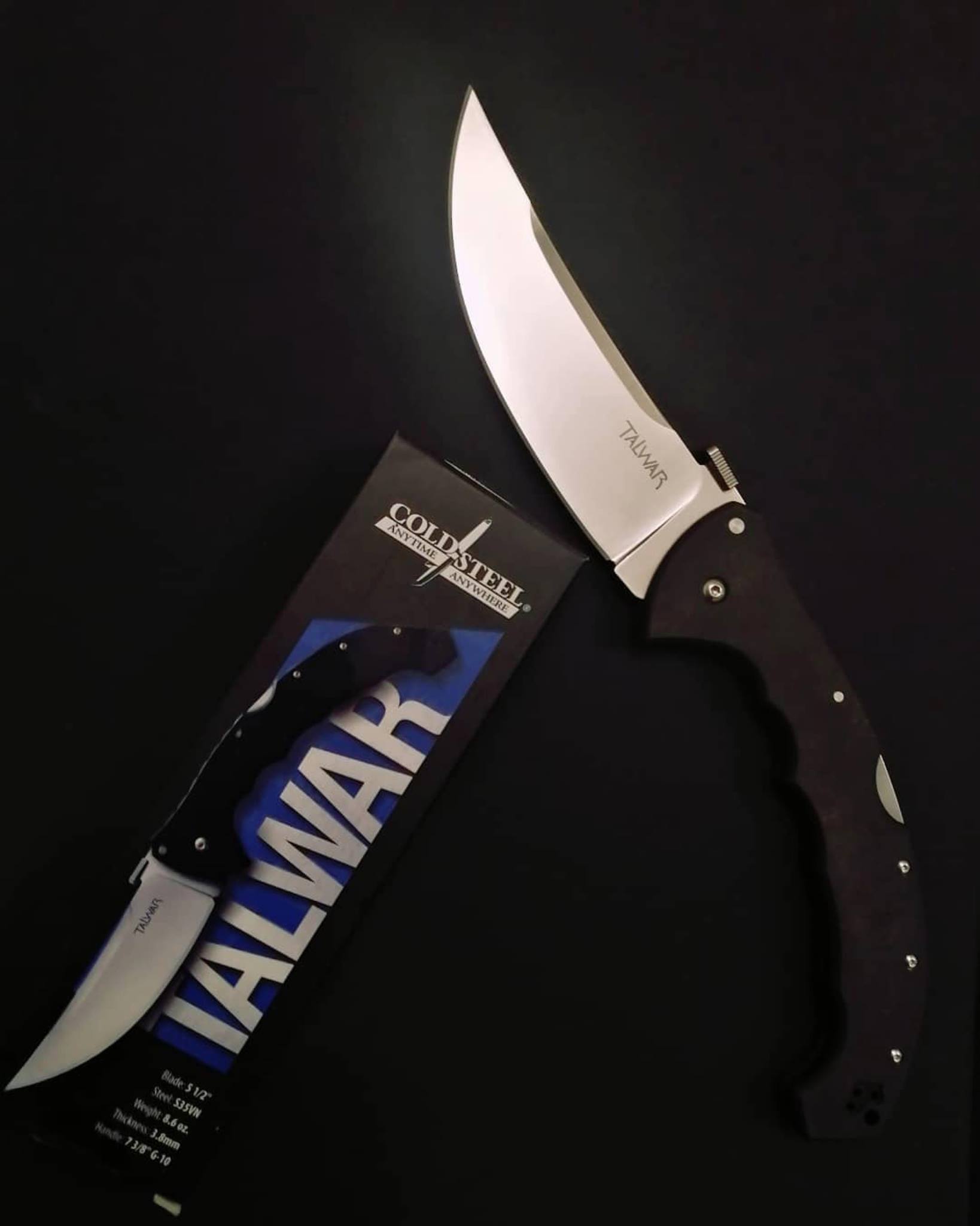 Talwar Klappmesser, glatte Schneide