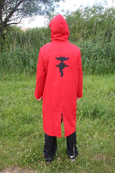 Fullmetal Alchemist - Edward Elric