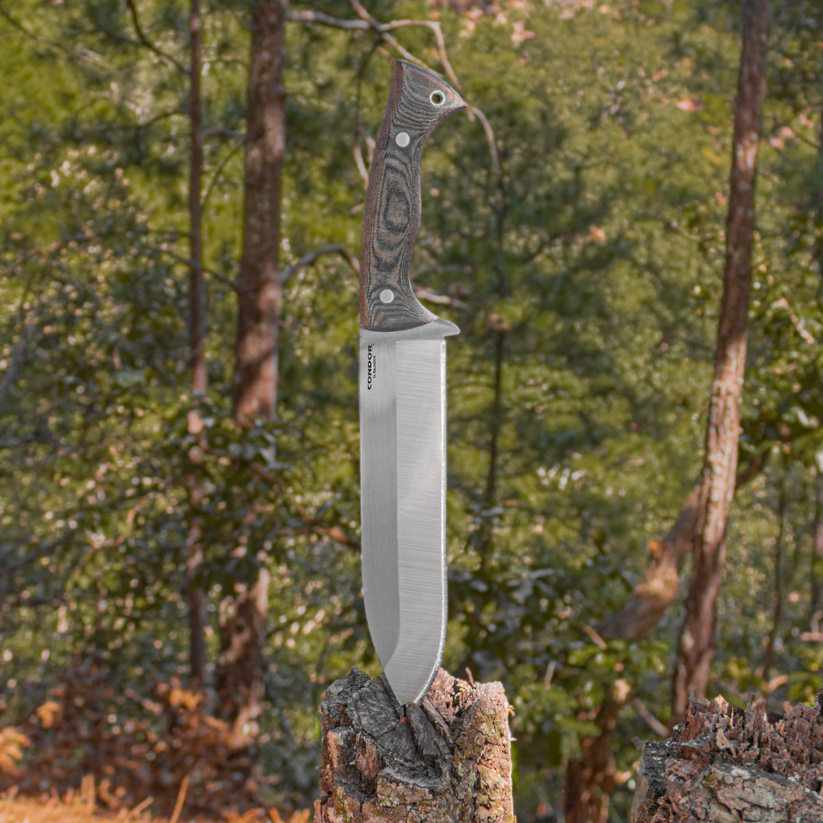 Balam Fixed Blade 