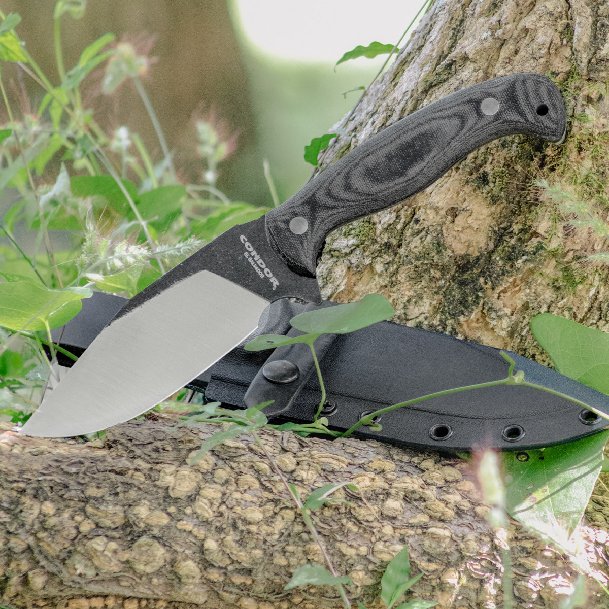 Black Leaf Knife