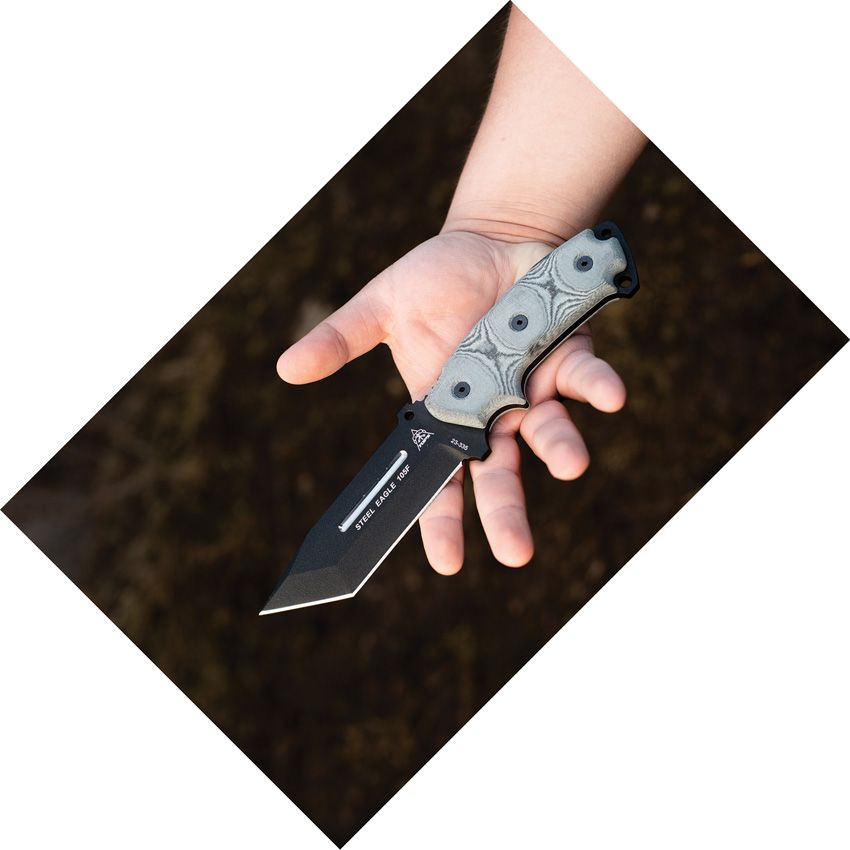 Steel Eagle Tanto