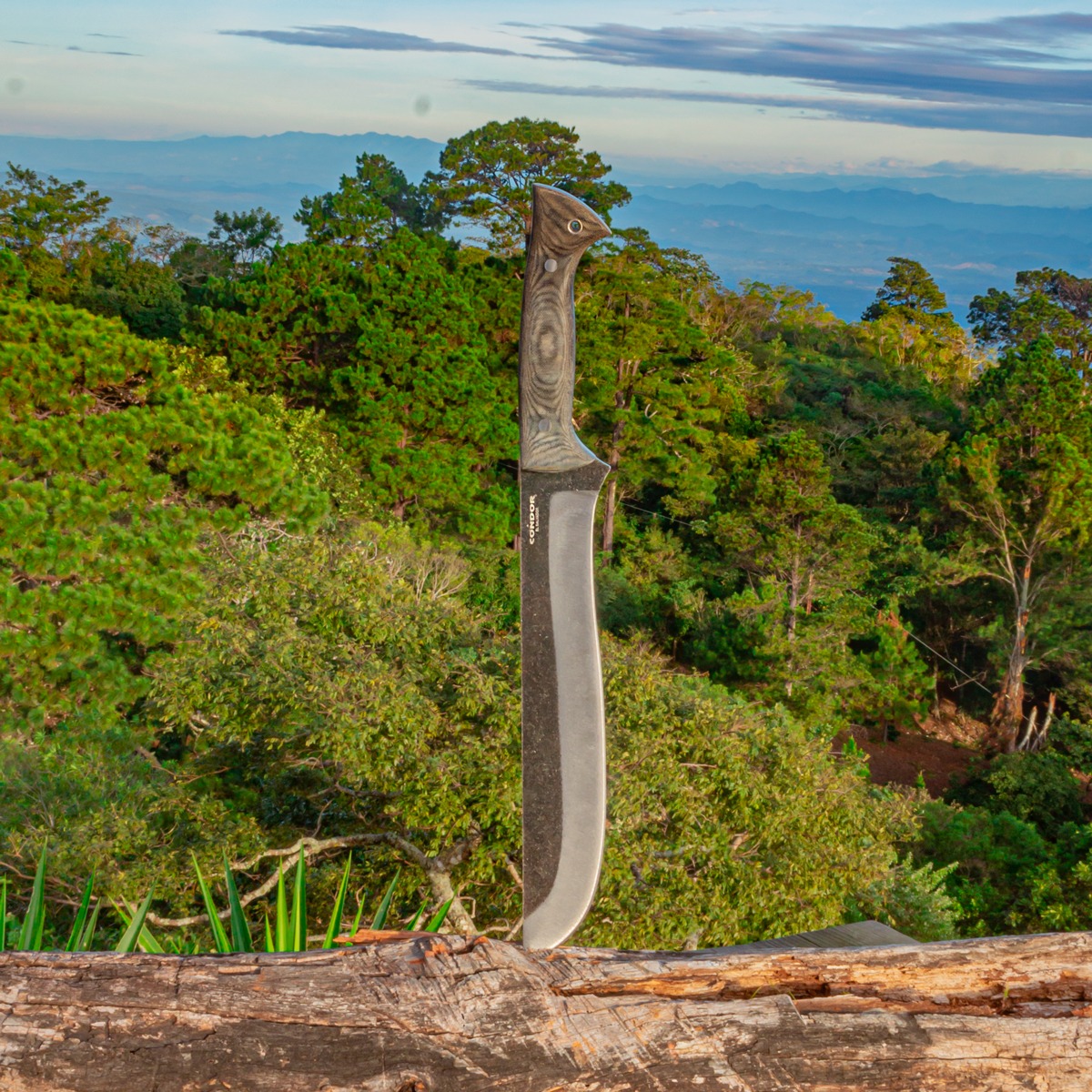 Lobo Machete 