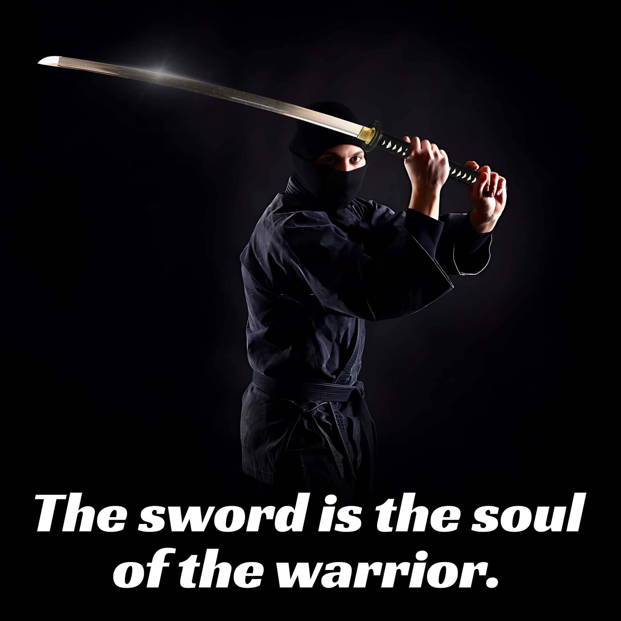 Miyamoto Musashi Katana, handgeschmiedet und gefaltet, Set