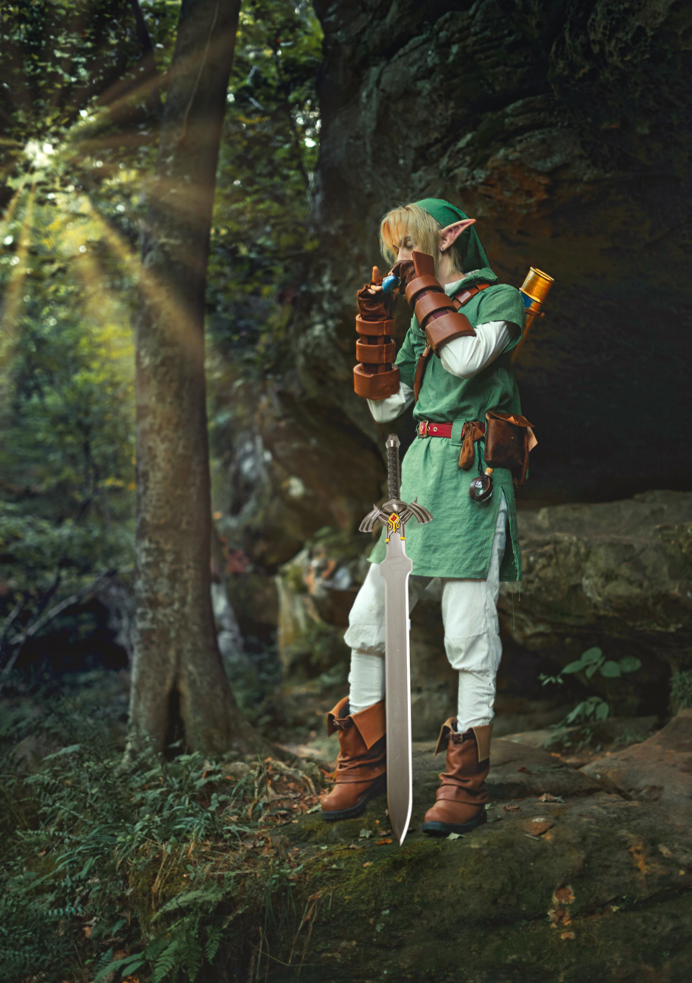 Link Master Schwert Zelda Twilight Princess Schwert mit Tafel