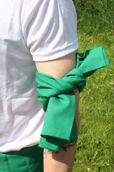 One Piece - Roronoa Zoro