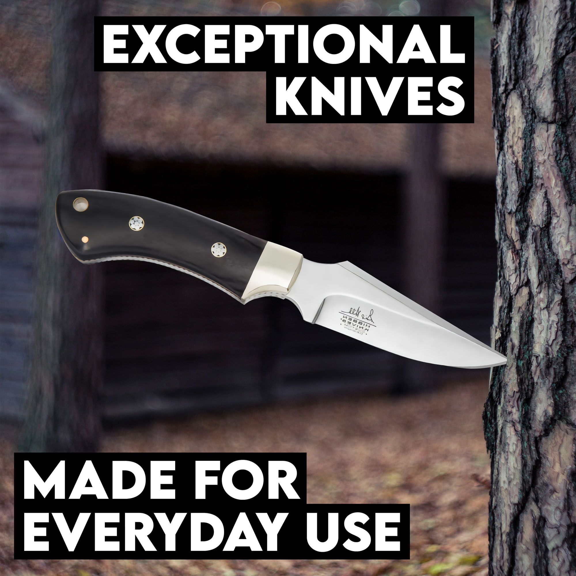 Gil Hibben Sidewinder Knife