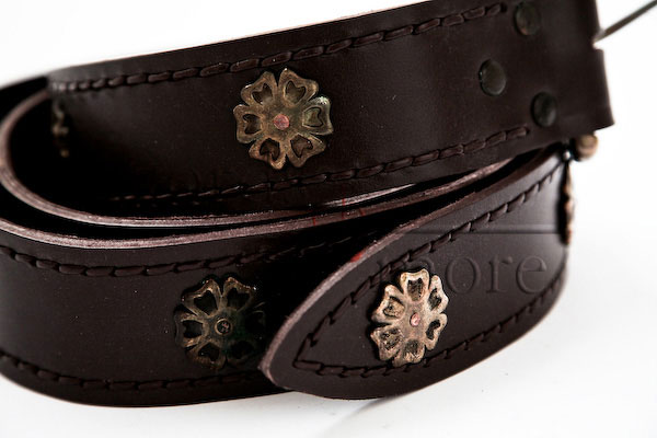 Knightly Belt, Brown