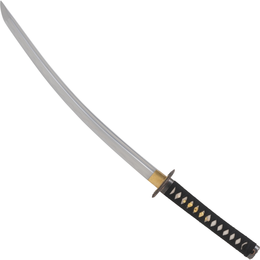 Dragon Tokuni Wakizashi