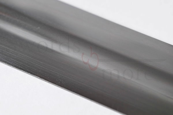 Wikingerschwert mit Scheide