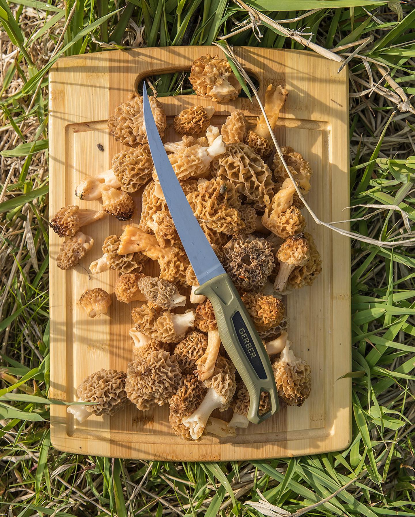 Ceviche Filletmesser, 18 cm
