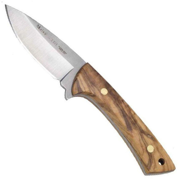 Muela Colibri Olive wood handle