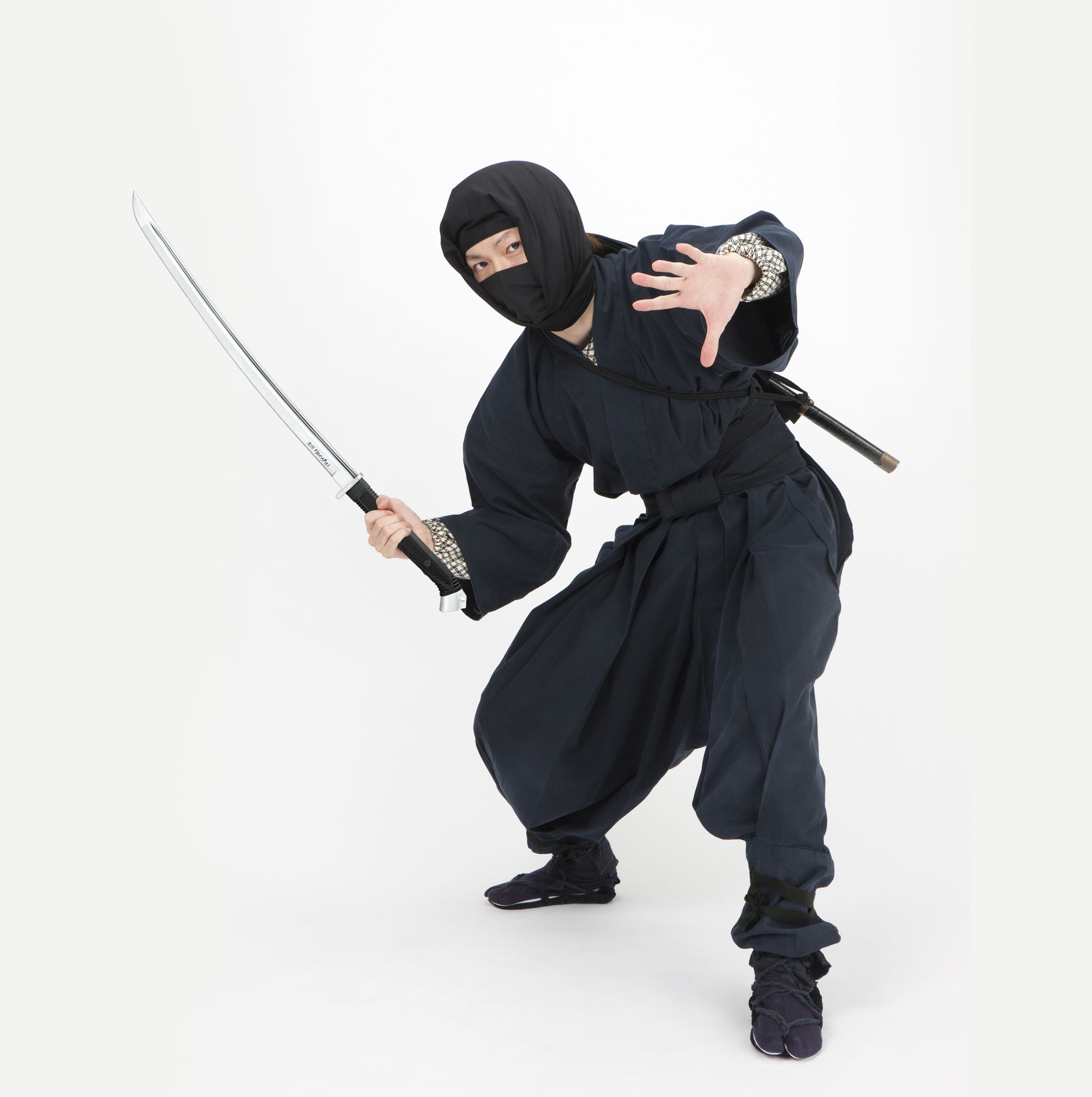 United Honshu Boshin Wakizashi United Honshu Boshin Wakizashi