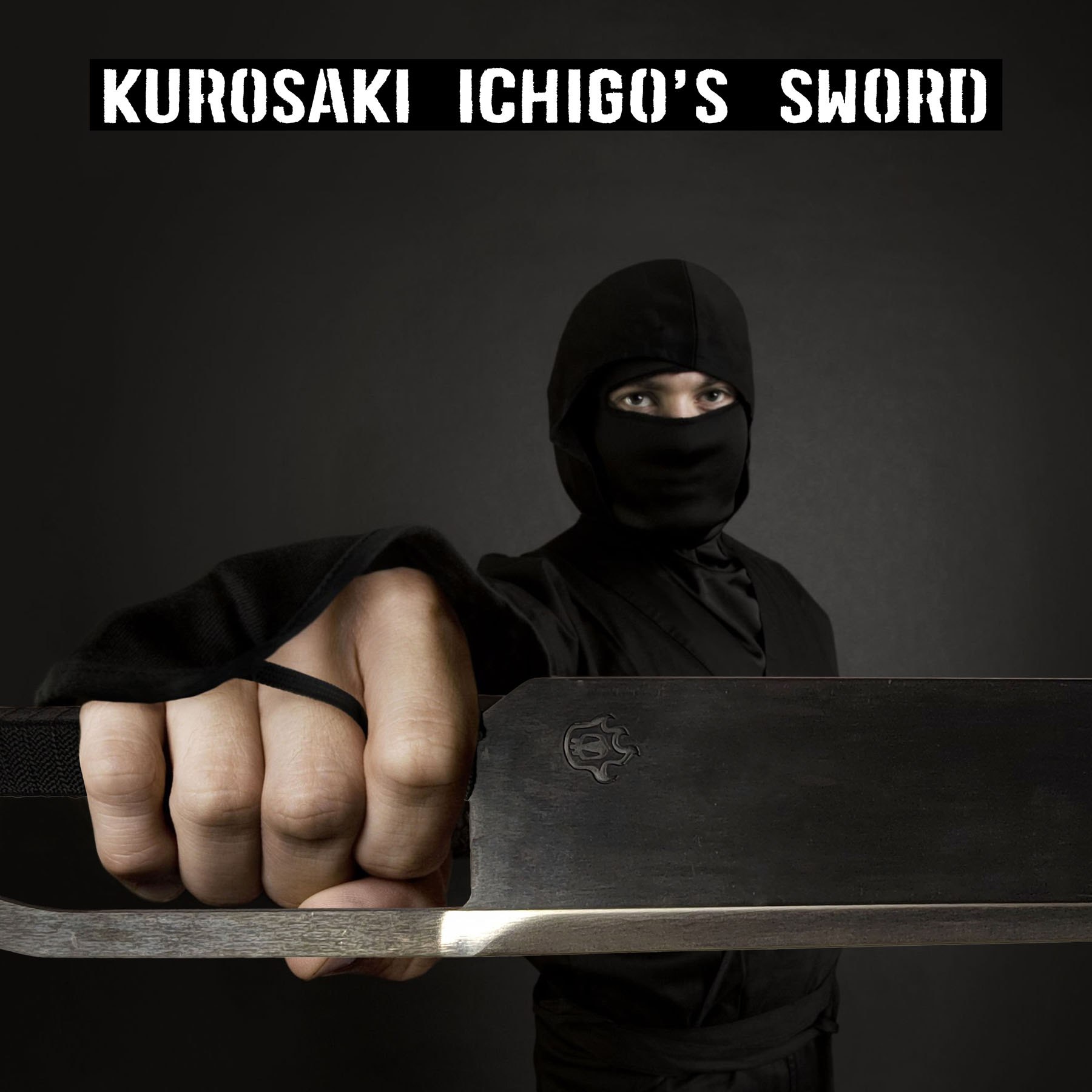Bleach - Kurosaki Ichigo's Schwert