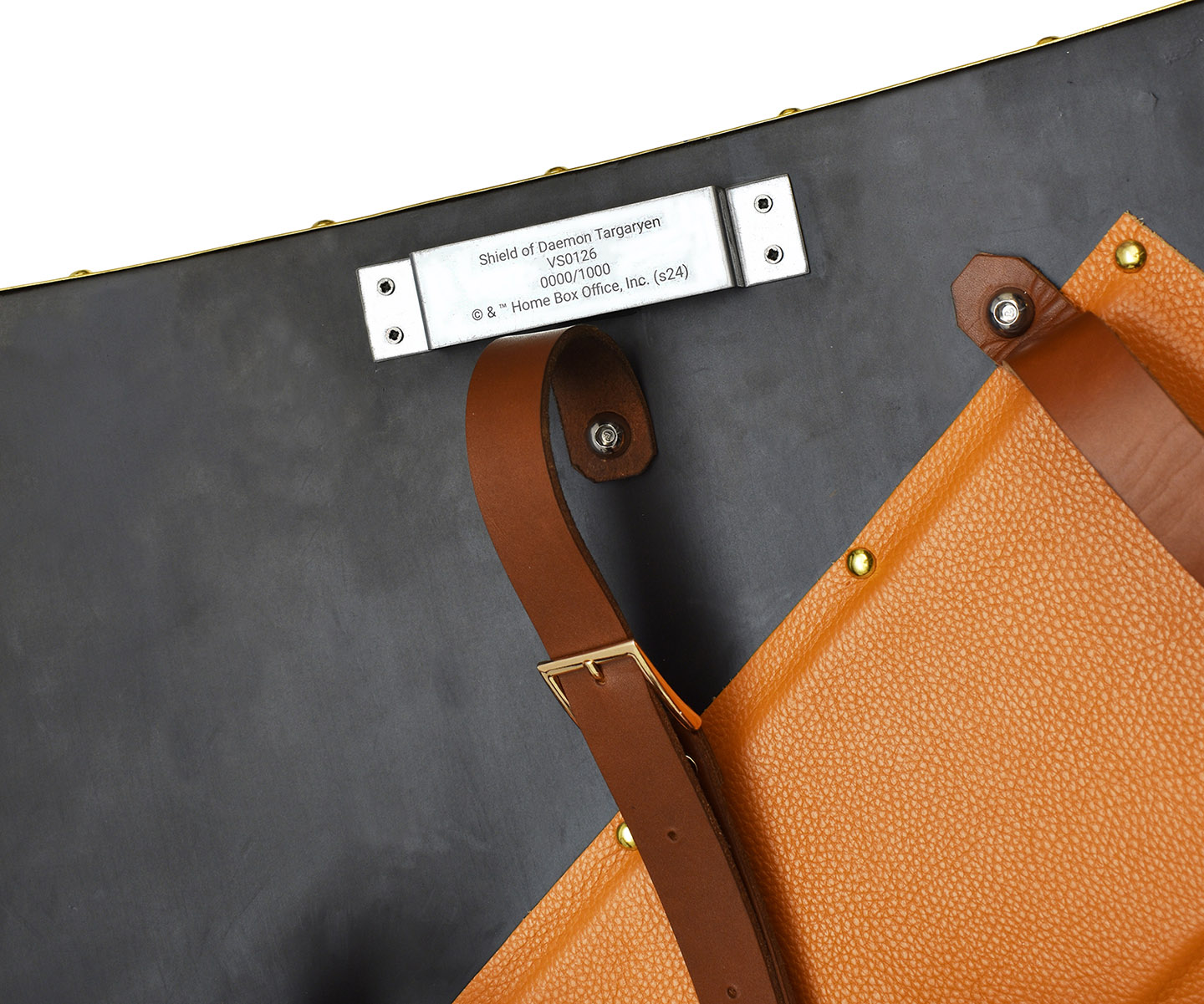 House of the Dragon - Schild von Daemon Targaryen