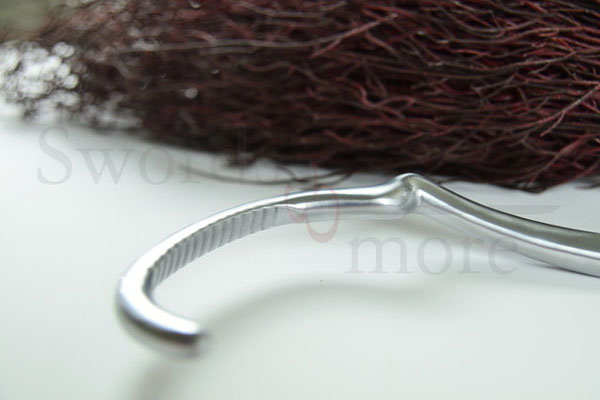 Harry Potter - Firebolt Broom