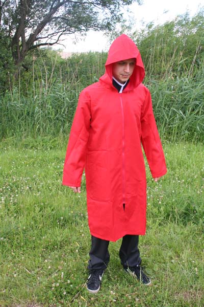 Fullmetal Alchemist - Edward Elric